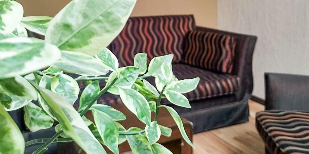 Hotel Terranova レオン エクステリア 写真
